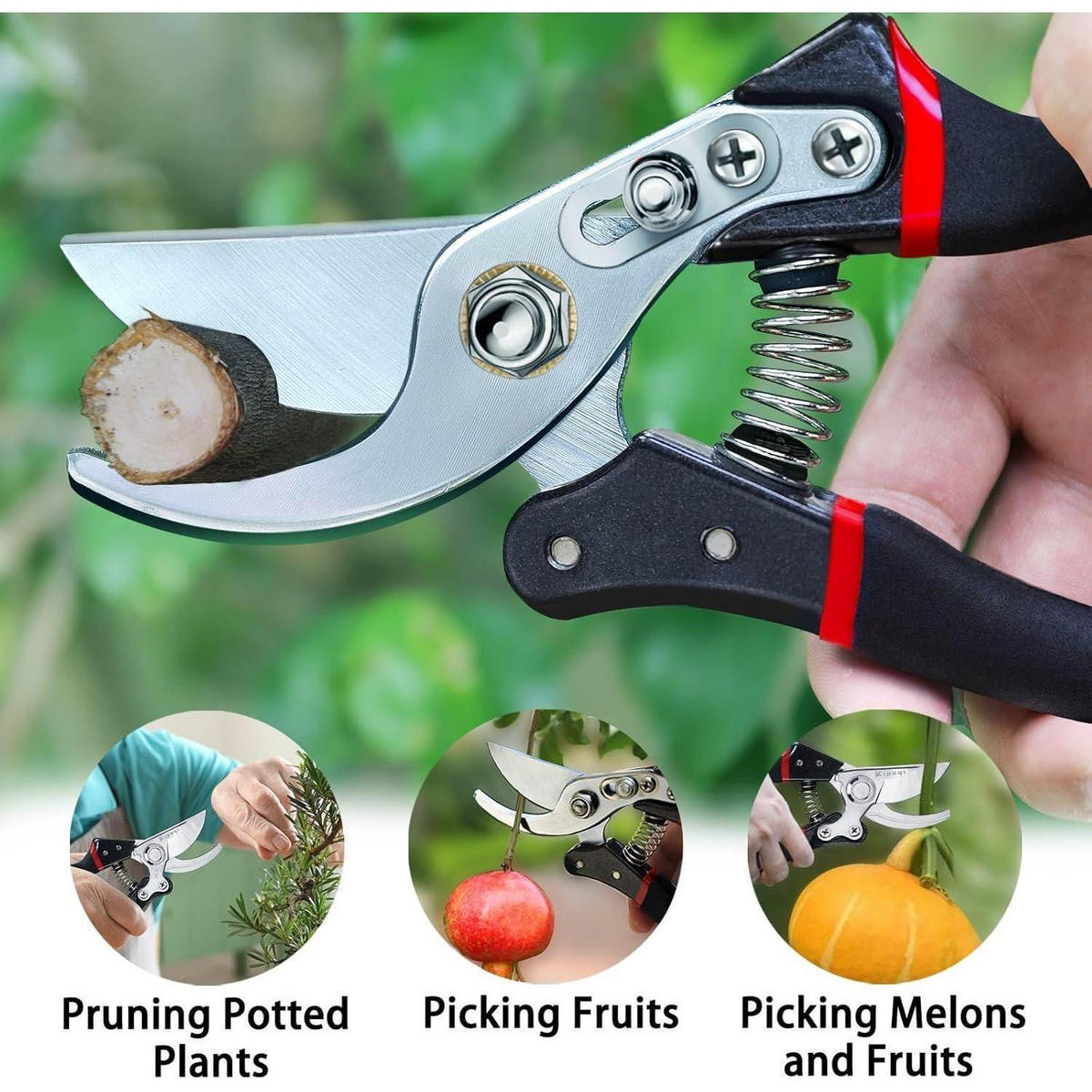 GARTENSCHERE 2-teiliges Set SK-5 Stahlklinge bis 2,5 cm Schnittstärke - Multicolor, Metall (16/3/24cm)