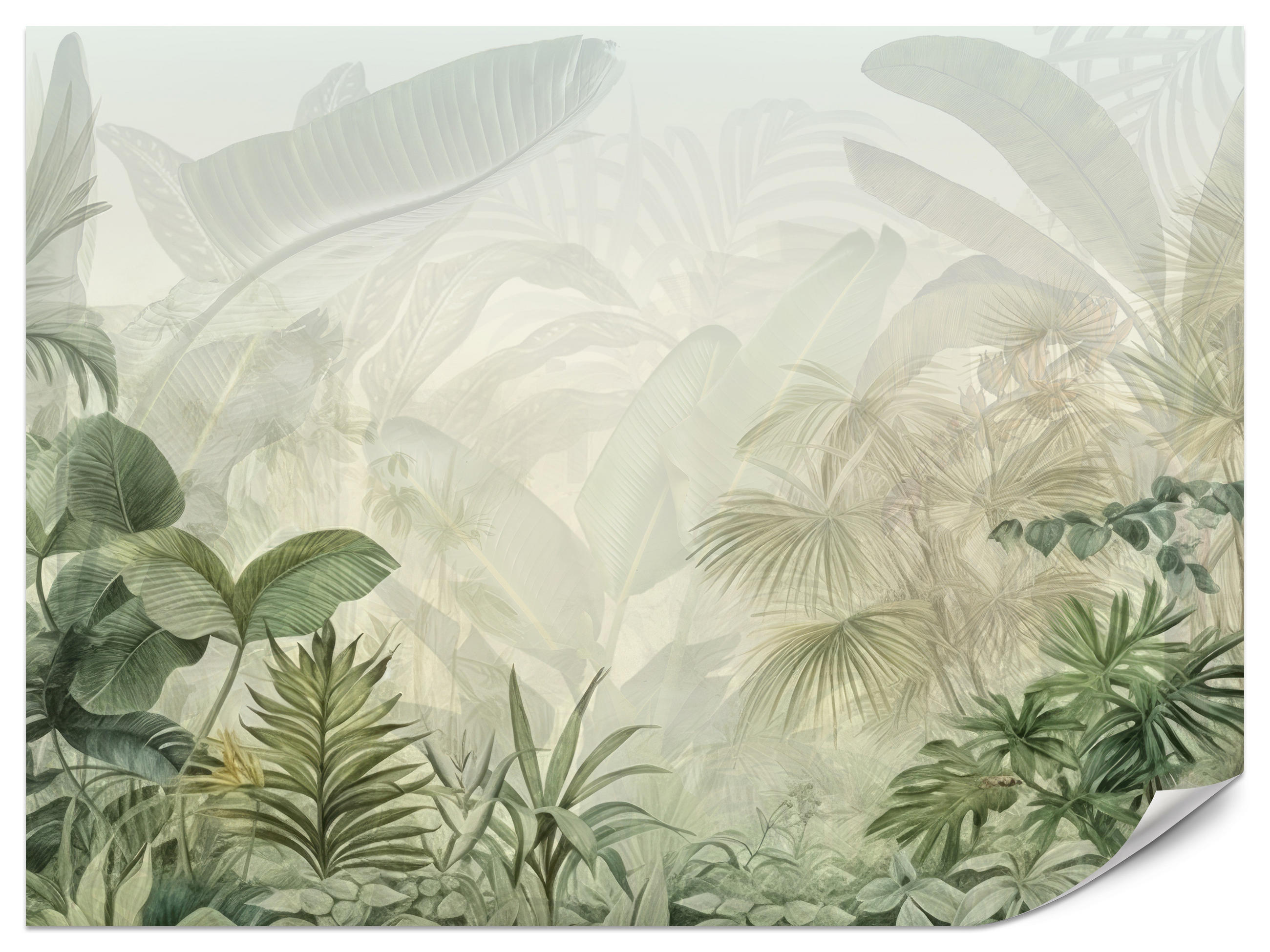 FOTOTAPETE für Schlafzimmer Tropenpflanzen Nebel Palmen Blätter 100x70 - Weiß/Grau, Papier (100/70cm) - Muralo