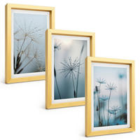 BILDER SET 3er Set - 20x30 cm Goldrahmen - Löwenzahn mit Wassertropfen - Goldfarben, Kunststoff (20/30cm) - TULUP