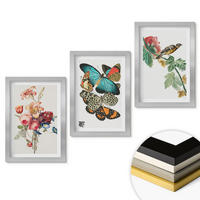 WANDBILDER 3er Set - 20x30 cm Silberner Rahmen - Blumen, Schmetterlinge, Vögel, Pastellfarben - Silberfarben, Kunststoff (20/30cm) - ArtPrintCave
