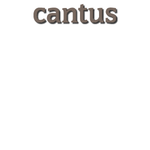 cantus logo