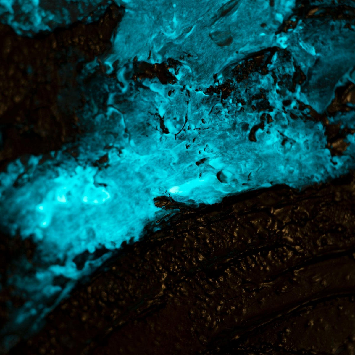 GEMÄLDE Helion auf Keilrahmen 60 cm - Multicolor, Holz (60/60cm) - YS-art gallery