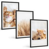 BILDER SET 3er Set - 40x60 cm Schwarzer Rahmen - Niedliche Tiere, Katzen, Hunde, Boho-Stil - Schwarz, Kunststoff (40/60cm) - TULUP