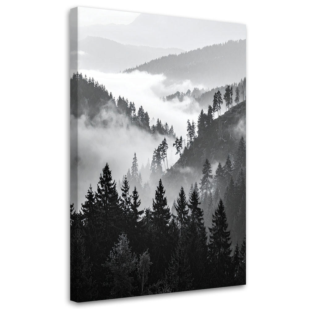 LEINWANDBILD Berge Wald Bäume Schwarz-Weiß 80x120cm - Schwarz, Textil (80/120cm) - Feeby