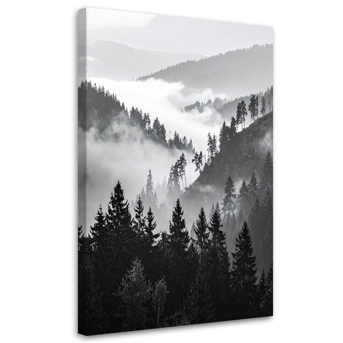 LEINWANDBILD Berge Wald Bäume Schwarz-Weiß 60x90cm - Schwarz, Textil (60/90cm) - Feeby