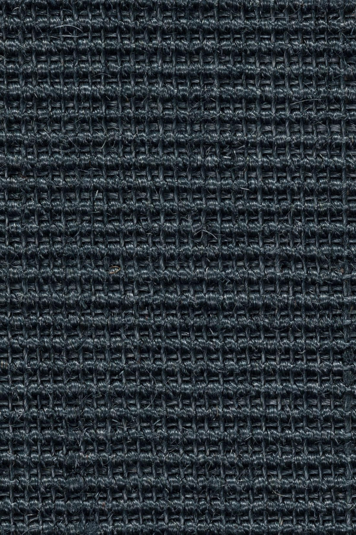 TEPPICH Sisal Manaus royalgrau/pazifik 200x290cm - Dunkelblau, Textil (200/290cm) - Astra