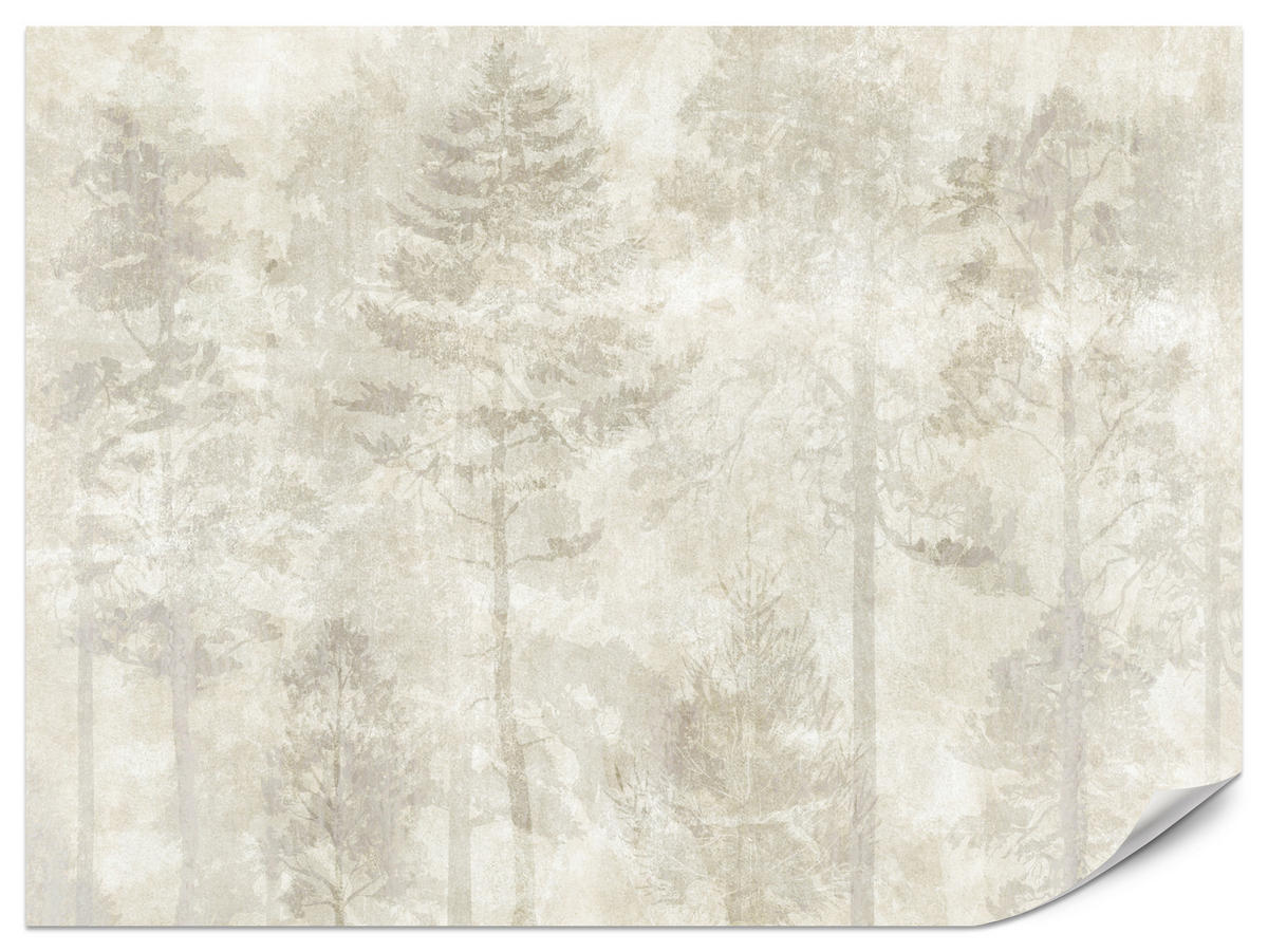 FOTOTAPETE für Wohnzimmer Boho Wald Bäume Beton Abstrakt Vintage Beige 350x256 - Beige/Braun, Papier (350/256cm) - Muralo