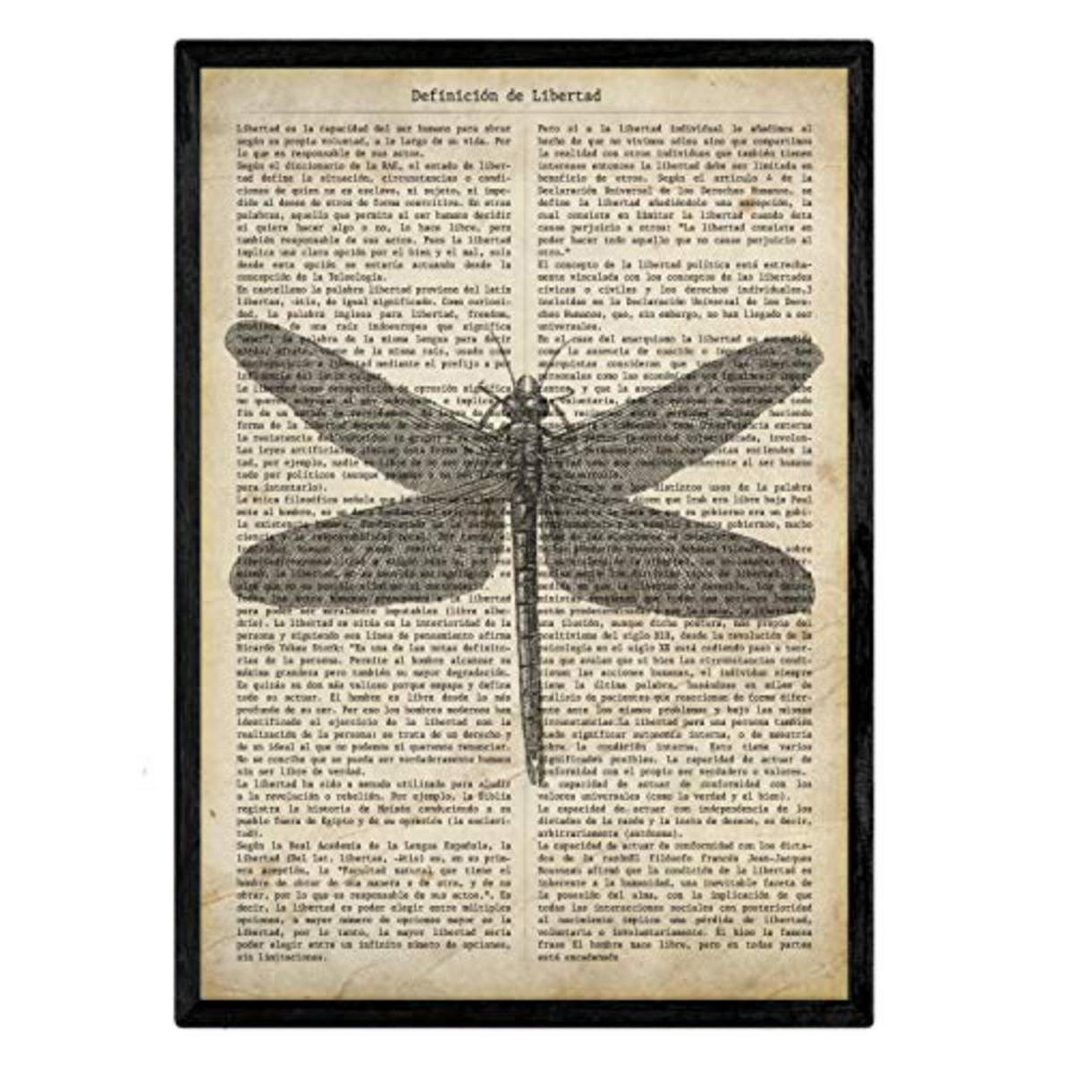 POSTER Set mit 4 Jahrgang Enzyklopädie A4 Schwarzer Rahmen - Schwarz, Papier (29.7/3cm) - Nacnic