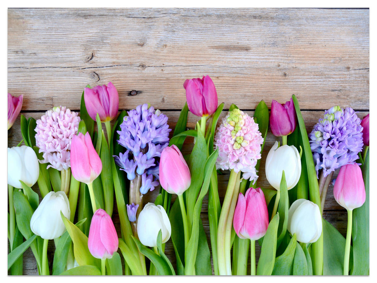 FOTOTAPETE für Küche Rosa Tulpen Violette Hyazinthen Holztisch 250x175 - Ecru/Violett, Papier (250/175cm) - Muralo