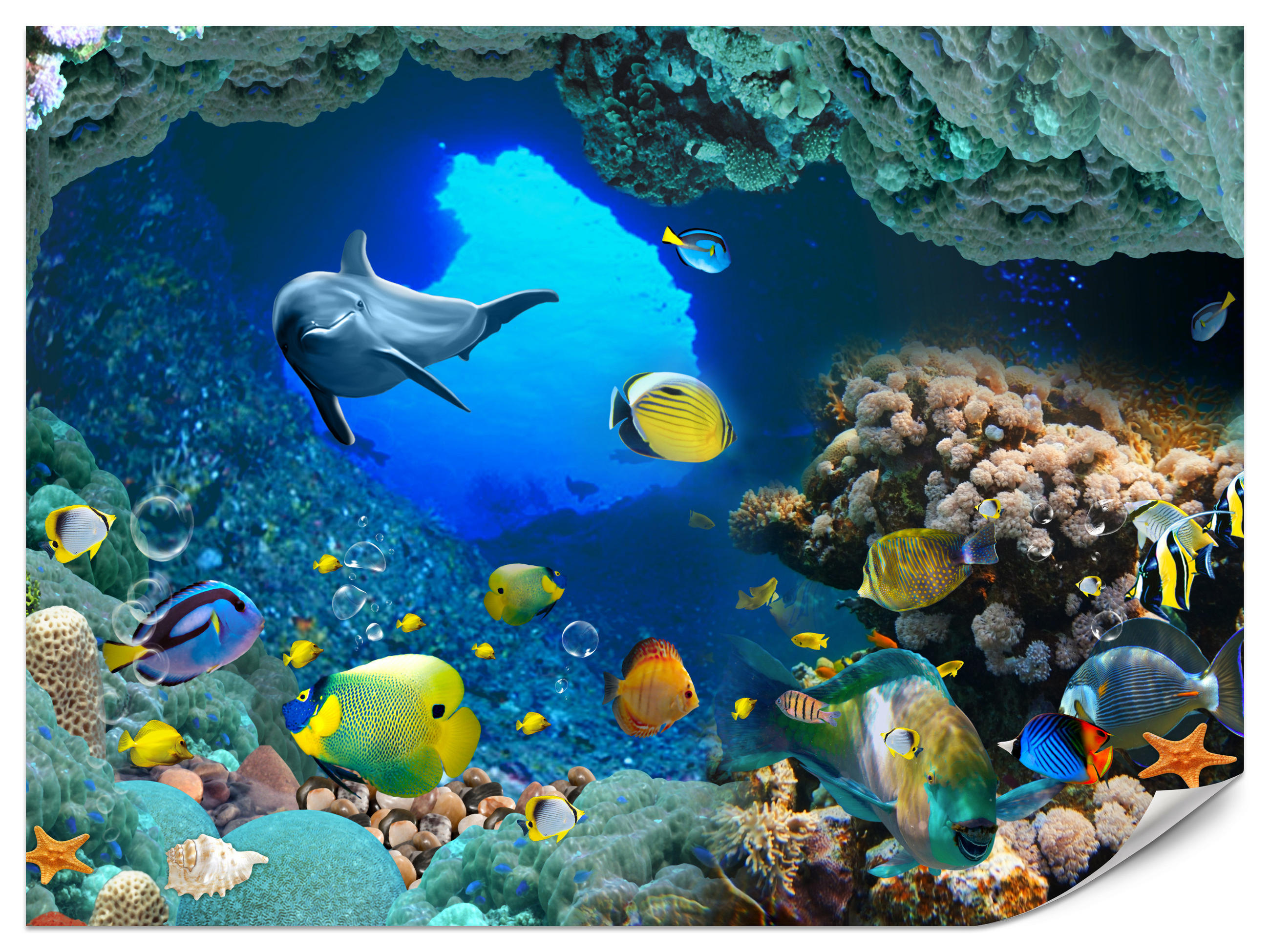 FOTOTAPETE für Badezimmer Unterwasser Korallenriffe Fische 250x175 - Türkis/Blau, Papier (250/175cm) - Muralo