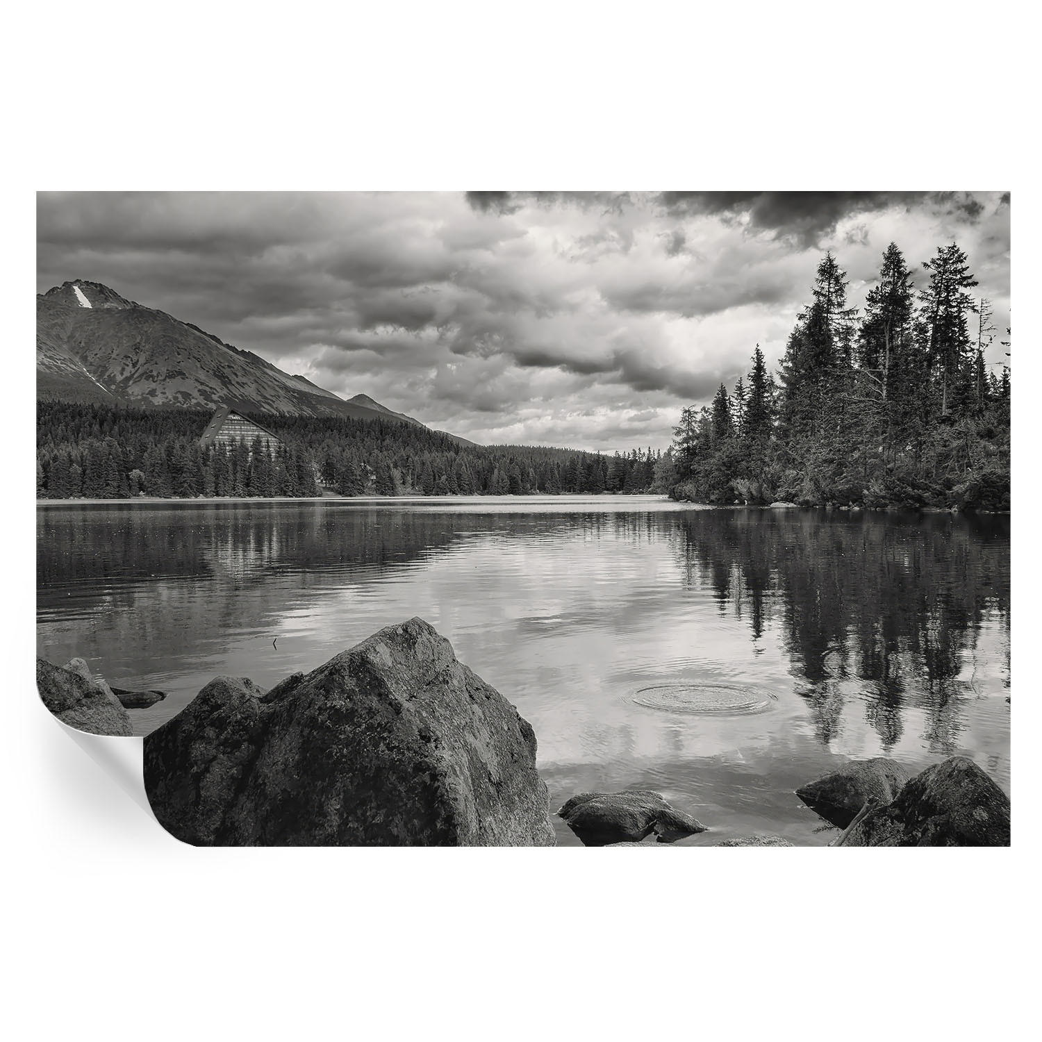 Wallfluent Fototapete Schwarz 104x70 cm