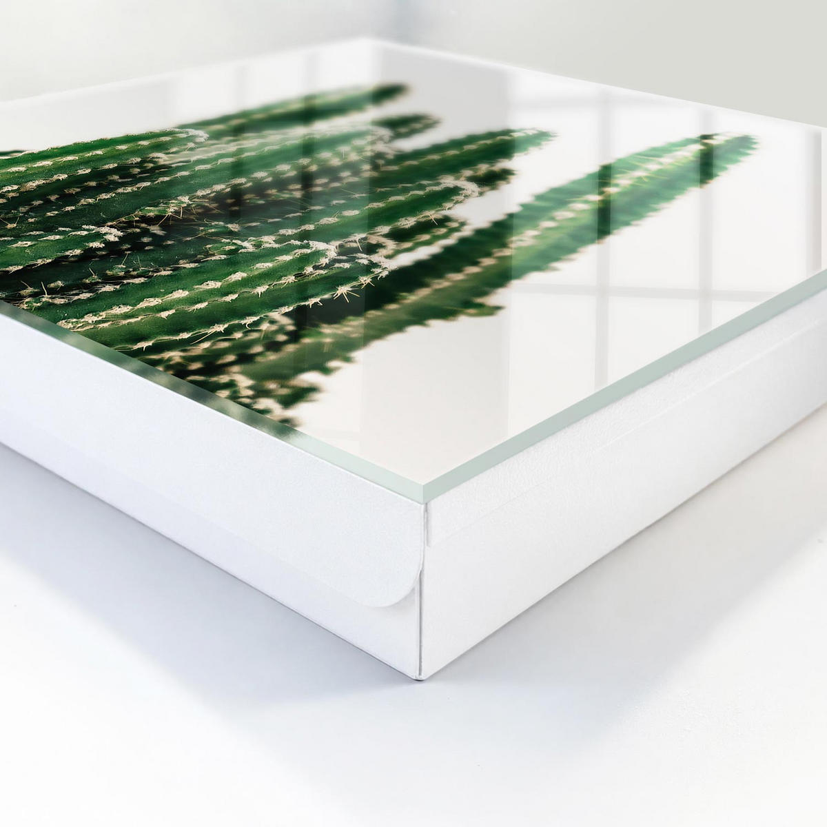 SCHLÜSSELBOX Weiß 30x30 cm – Türöffnung nach rechts - Grüne Kakteen - Grün, Metall (30/30/5cm) - TULUP