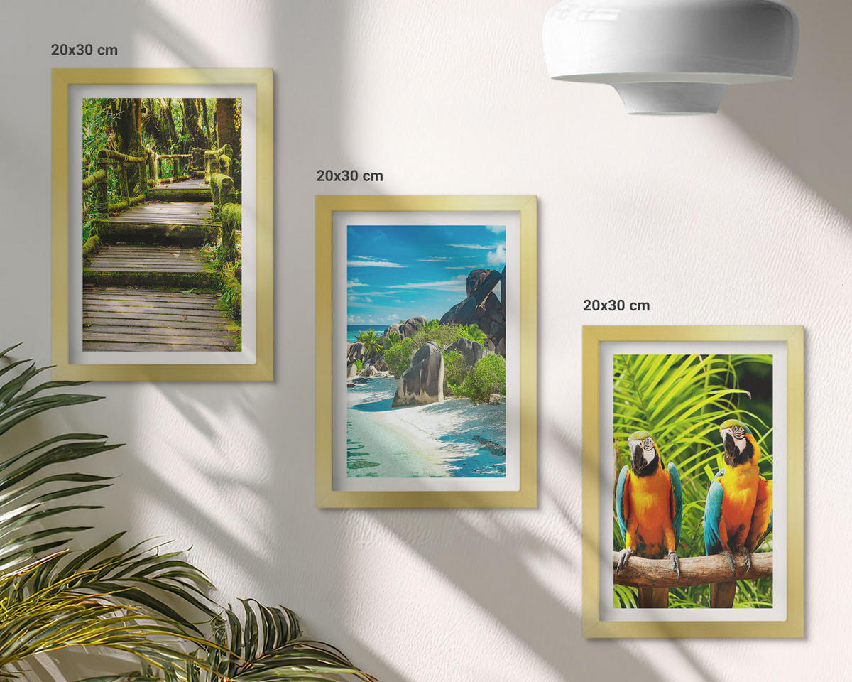 BILDER SET 3er Set - 20x30 cm Goldrahmen - Tropischer Wald Papageienwasserfall - Goldfarben, Kunststoff (20/30cm) - TULUP