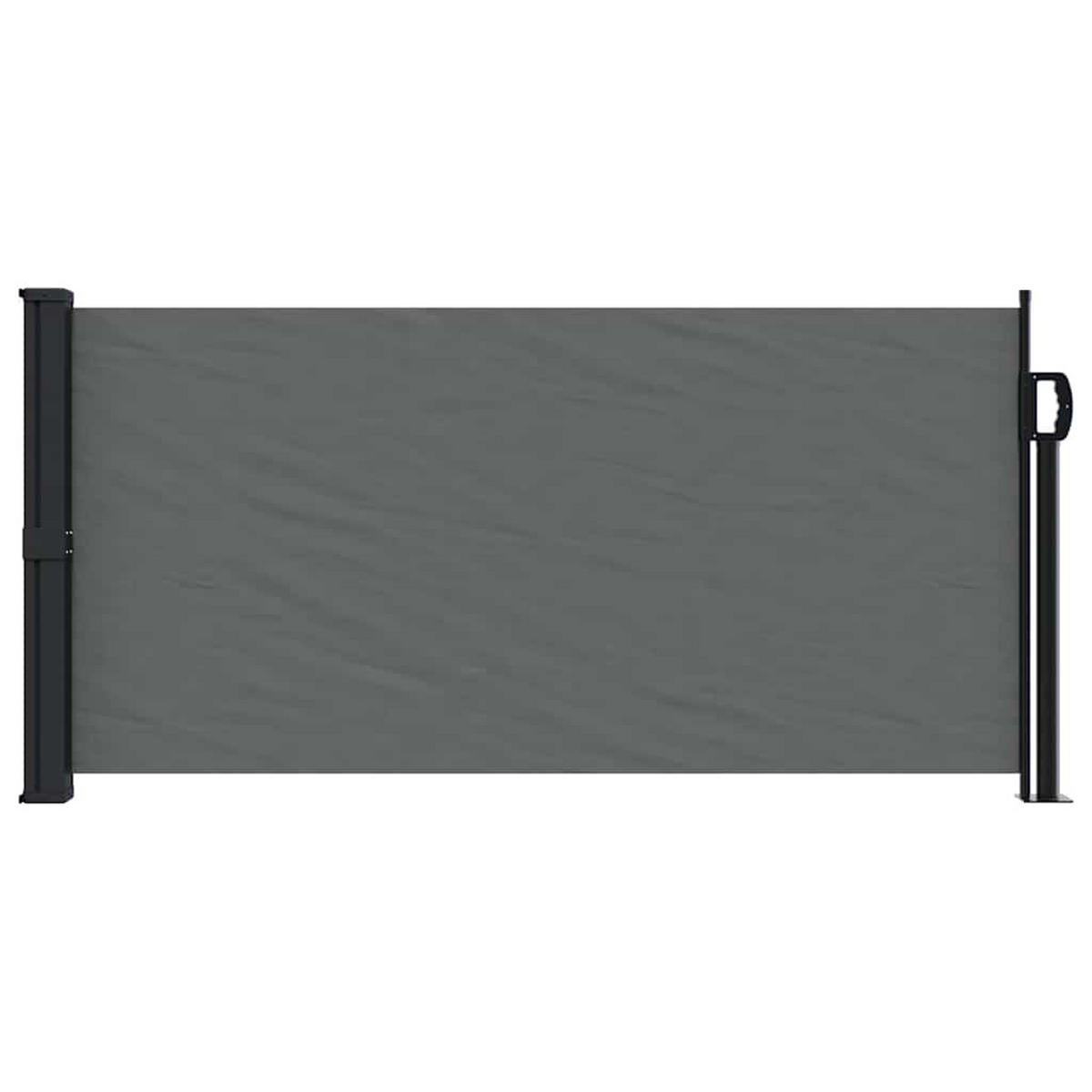 SEITENMARKISE Ausziehbar Anthrazit 100x300 cm - Anthrazit, Textil (300/100/300cm) - furnicato