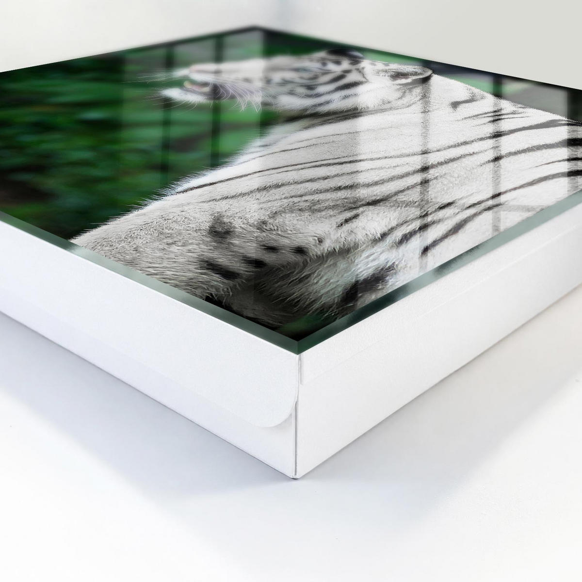 SCHLÜSSELBOX Weiß 30x30 cm – Türöffnung nach rechts - Weißer Tiger - Weiß, Metall (30/30/5cm) - TULUP