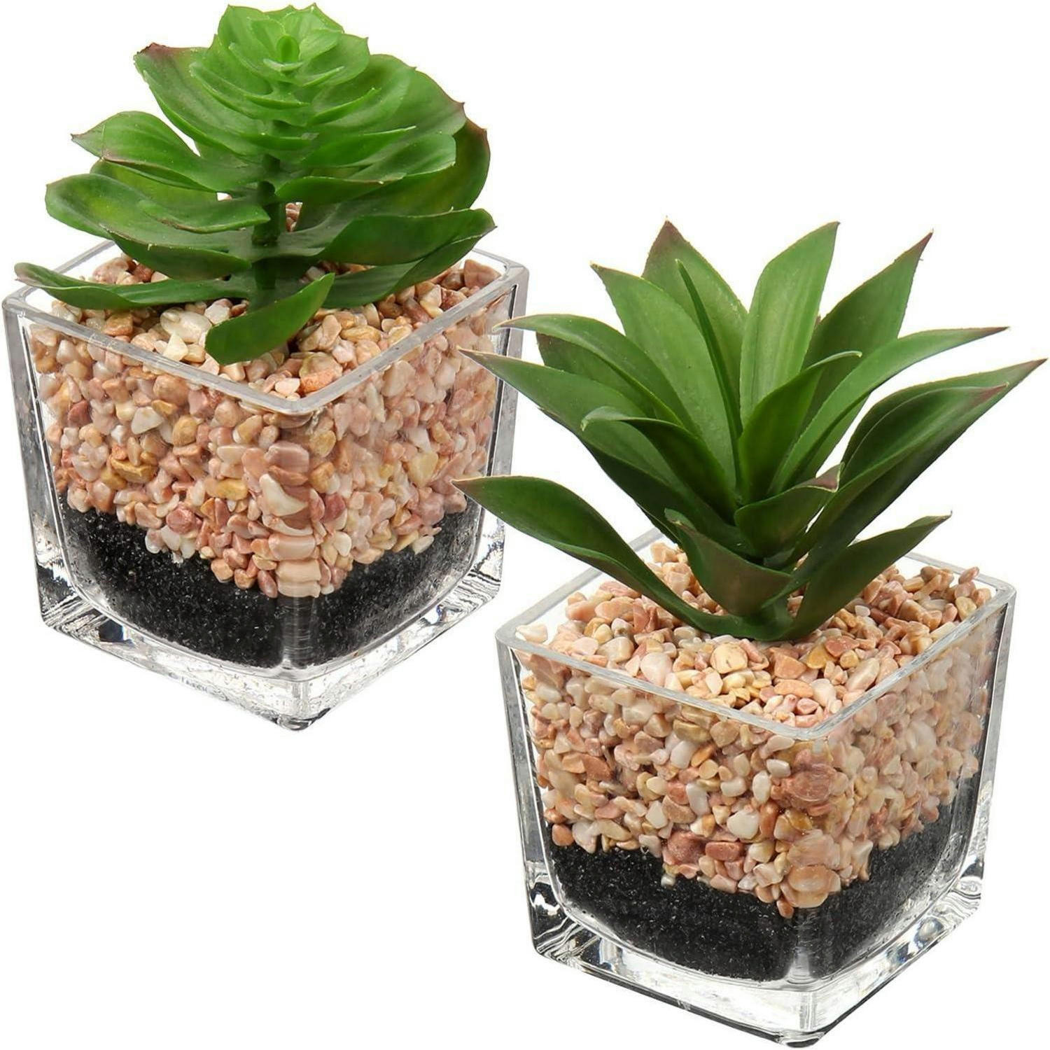 KUNSTPFLANZEN 2-teiliges Set im Glastopf - Multicolor, Kunststoff (7.5cm)