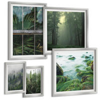 BILDER SET 5er Set - 50x50 cm & 20x30 cm & 40x60 cm Silberner Rahmen - Nahaufnahmen von Blättern sukkulenter Pflanzen - Silberfarben, Kunststoff (40/60cm) - TULUP