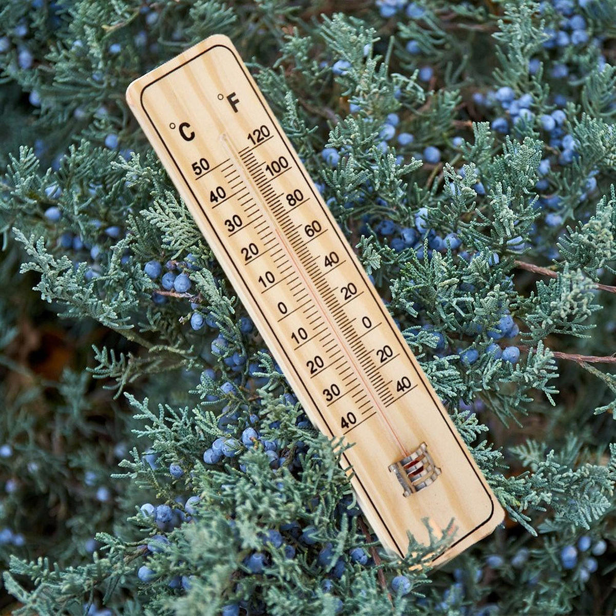 UNIVERSAL-THERMOMETER, MDF, natur, 22 cm - Naturfarben, Holz - ProGarden