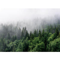 FOTOTAPETE Berglandschaft mit Bäumen 270 x 375 cm - Grün, Papier (270/375cm) - Sanders & Sanders