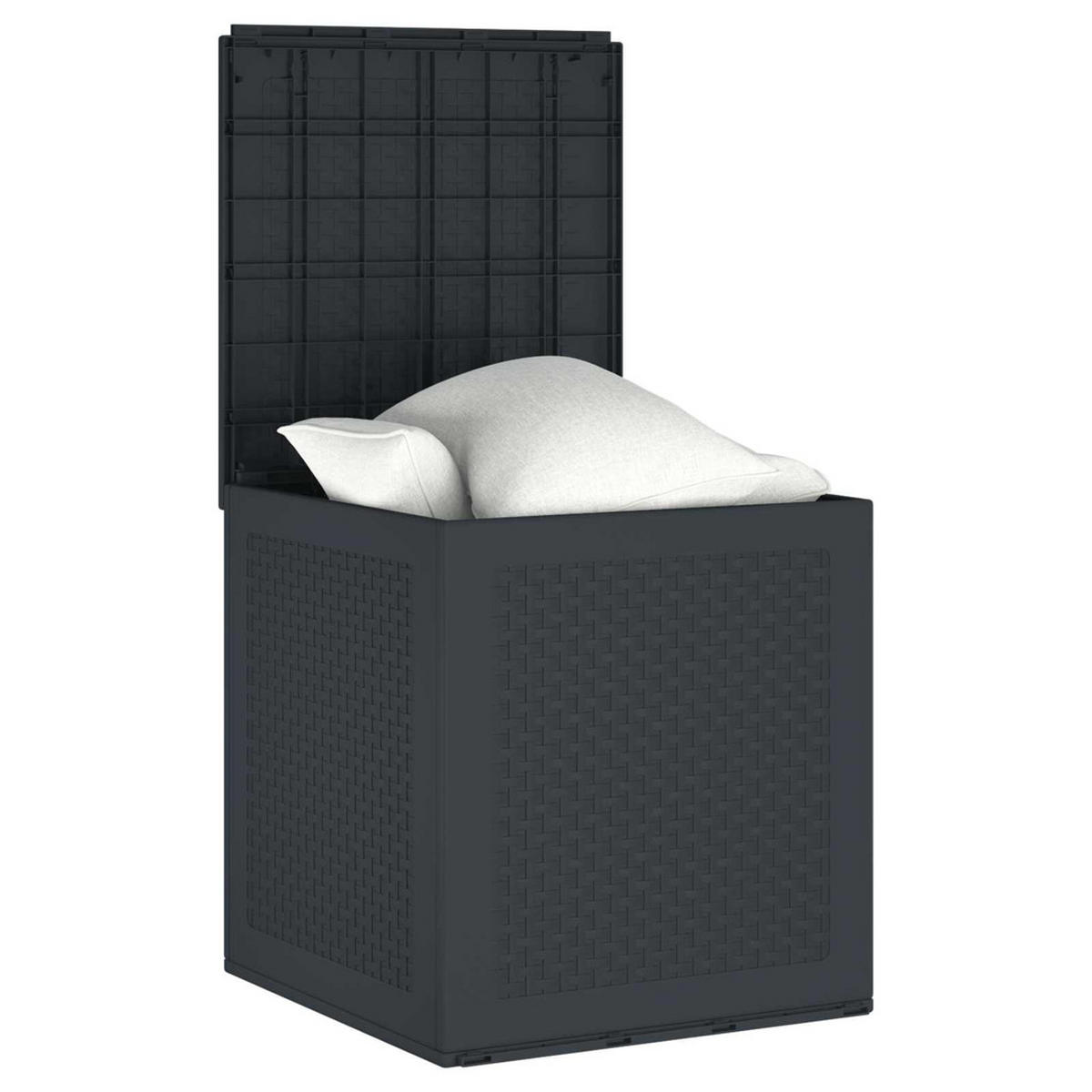AUFBEWAHRUNGSBOX Anthrazit 55/53/57 Cm Polypropylen - Anthrazit, Kunststoff (53/57/55cm) - vidaXL