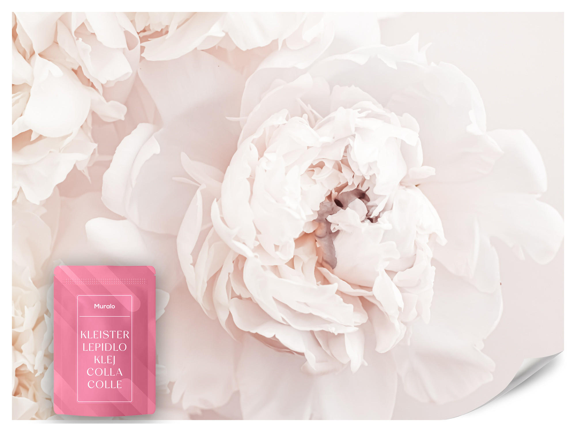 FOTOTAPETE für Schlafzimmer Pfingstrosen Blumen 3D 250x175 - Beige/Rosa, Papier (250/175cm) - Muralo