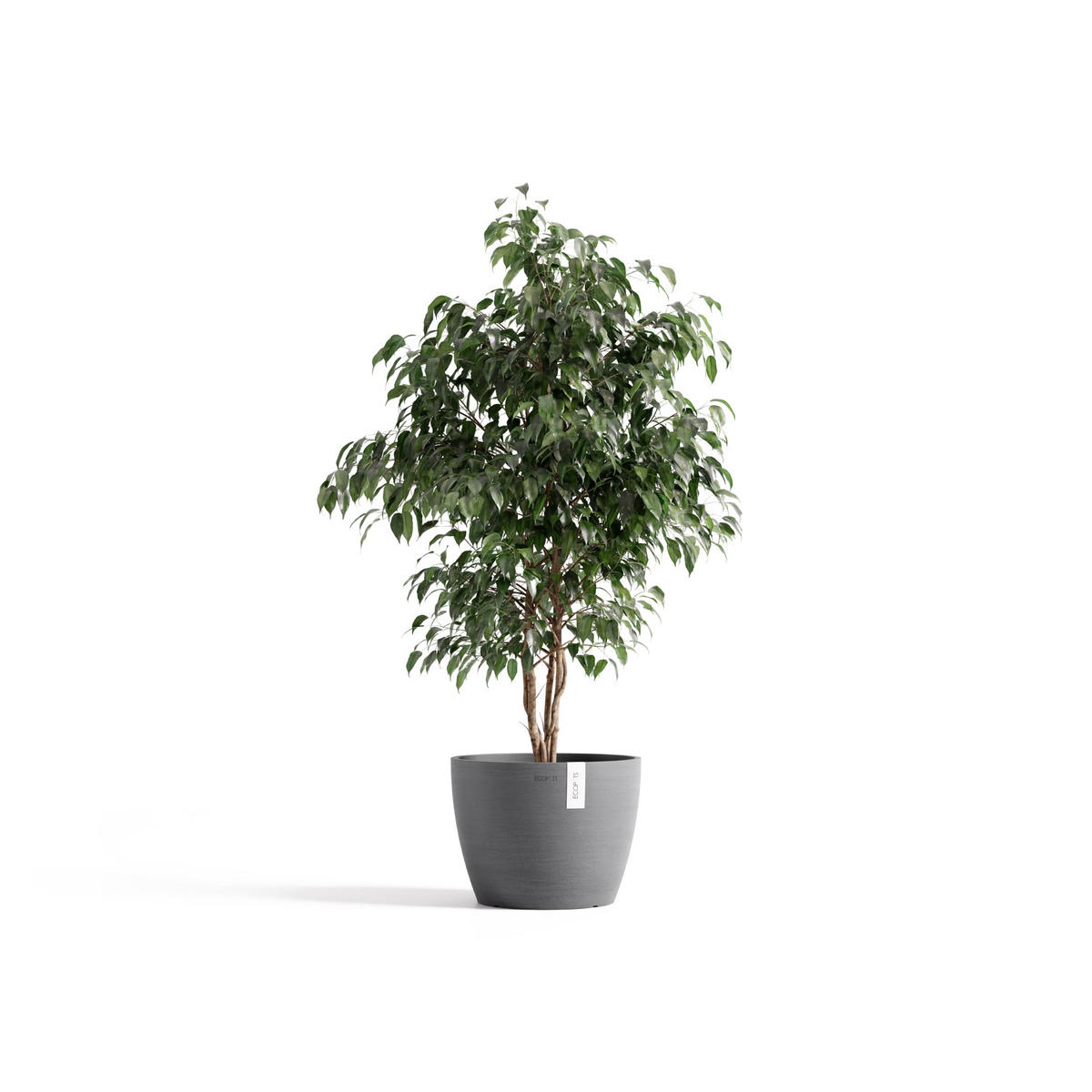 BLUMENTOPF Stockholm Grau - Grau, Kunststoff (31/23.5cm) - Ecopots