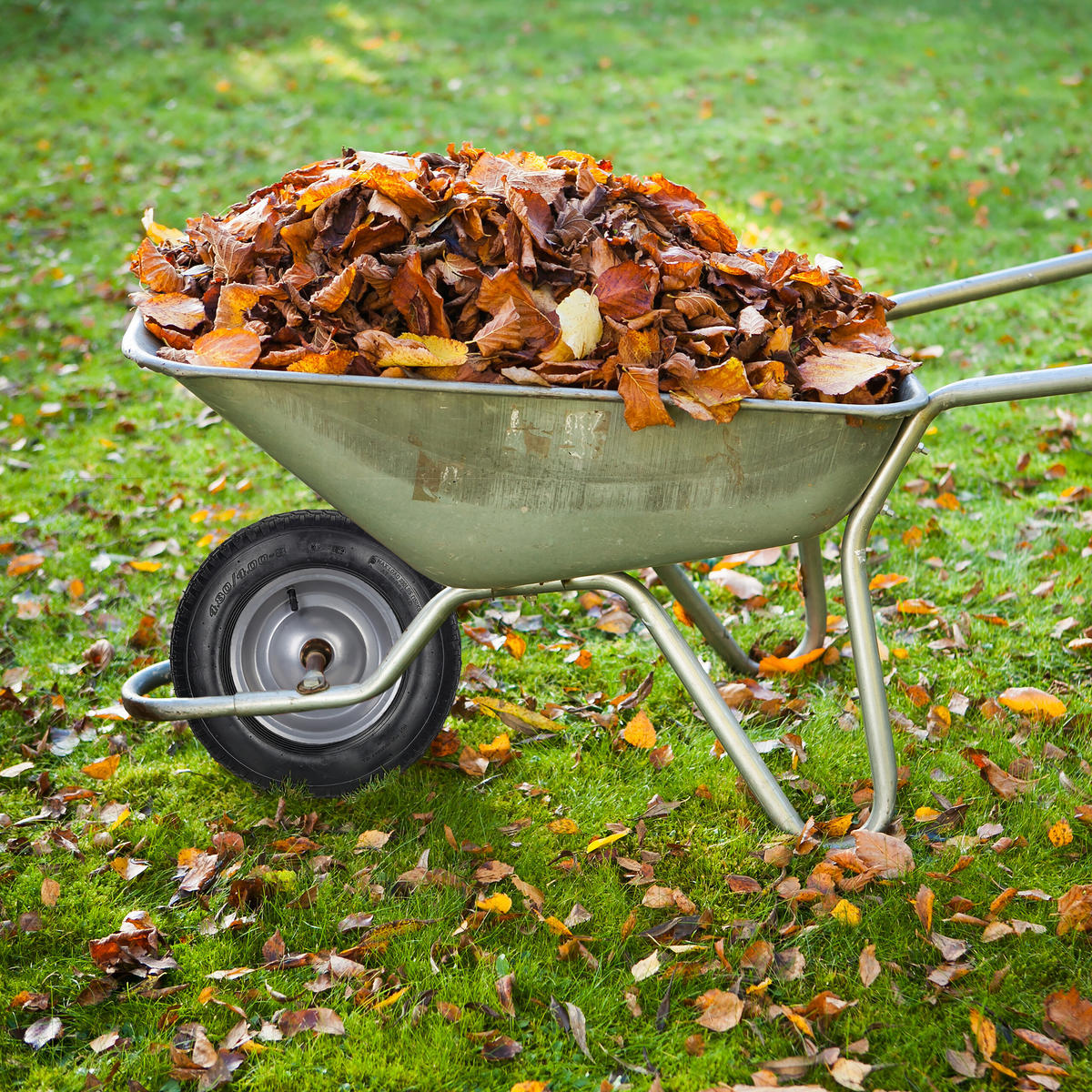 SCHUBKARRENRAD - Schwarz, Kunststoff (40/40/10cm) - Relaxdays