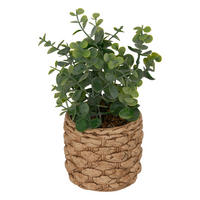 KÜNSTLICHER EUKALYPTUS Jaye im Keramiktopf 27 cm - Grün, Kunststoff (27cm) - Atmosphera Createur d´interieur