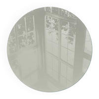 GLASPLATTE für Kamin Ø 80 cm - Grün, Glas (80/80/0.4cm) - TULUP