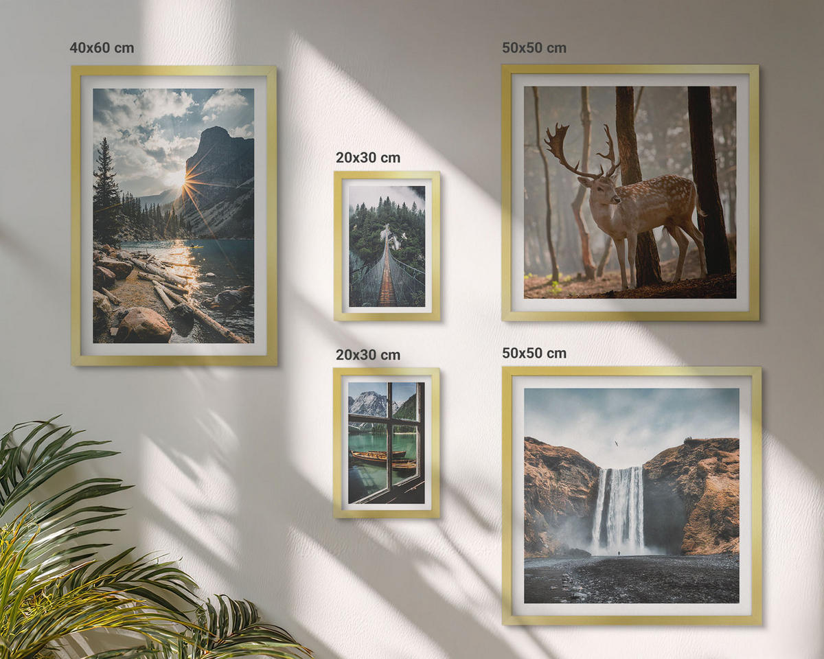 BILDER SET 5er Set - 50x50 cm & 20x30 cm & 40x60 cm Goldrahmen - Blumenarrangements in Vasen - Goldfarben, Kunststoff (40/60cm) - TULUP