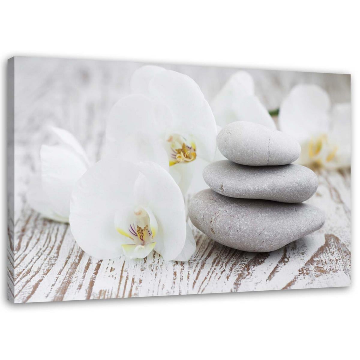 BILD Weiße Orchidee und Steine - Grau, Textil (60/40cm) - Feeby