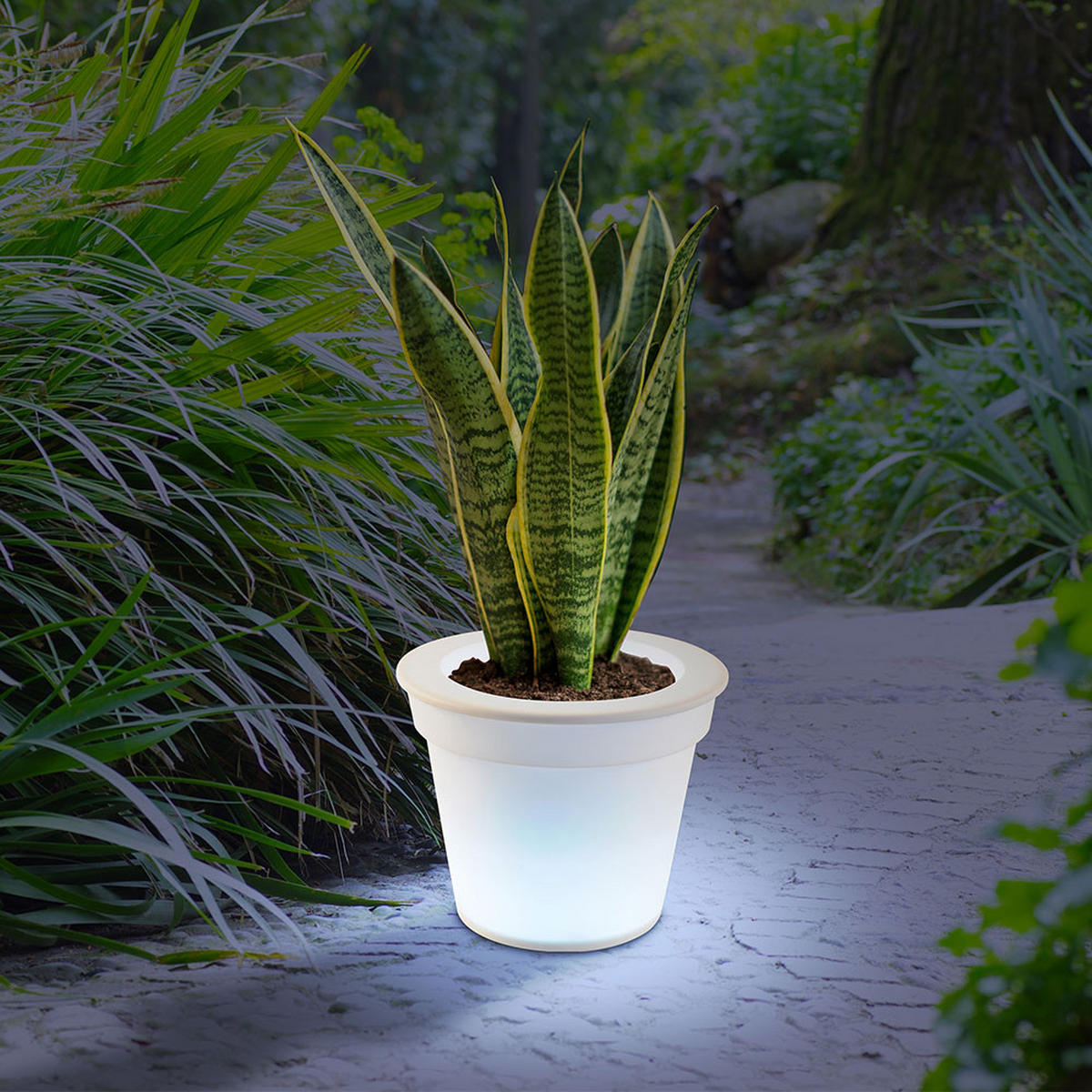 LED AUSSENLEUCHTE Blumentopf Weiß satiniert - Weiß, Kunststoff (17/17/19cm)