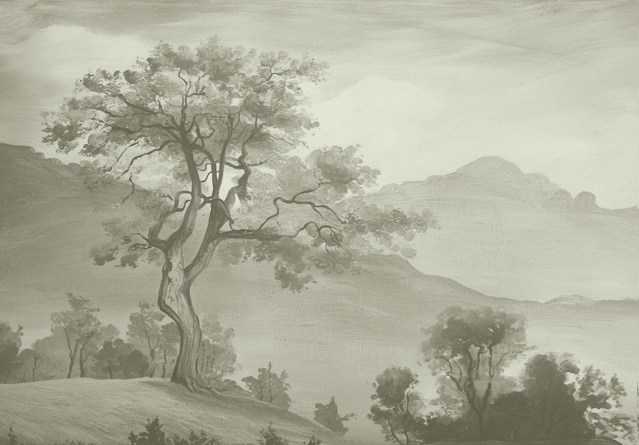 FOTOTAPETE italienische Landschaft 4 x 2.79 m - Grün, Papier (400/279cm) - ESTAhome