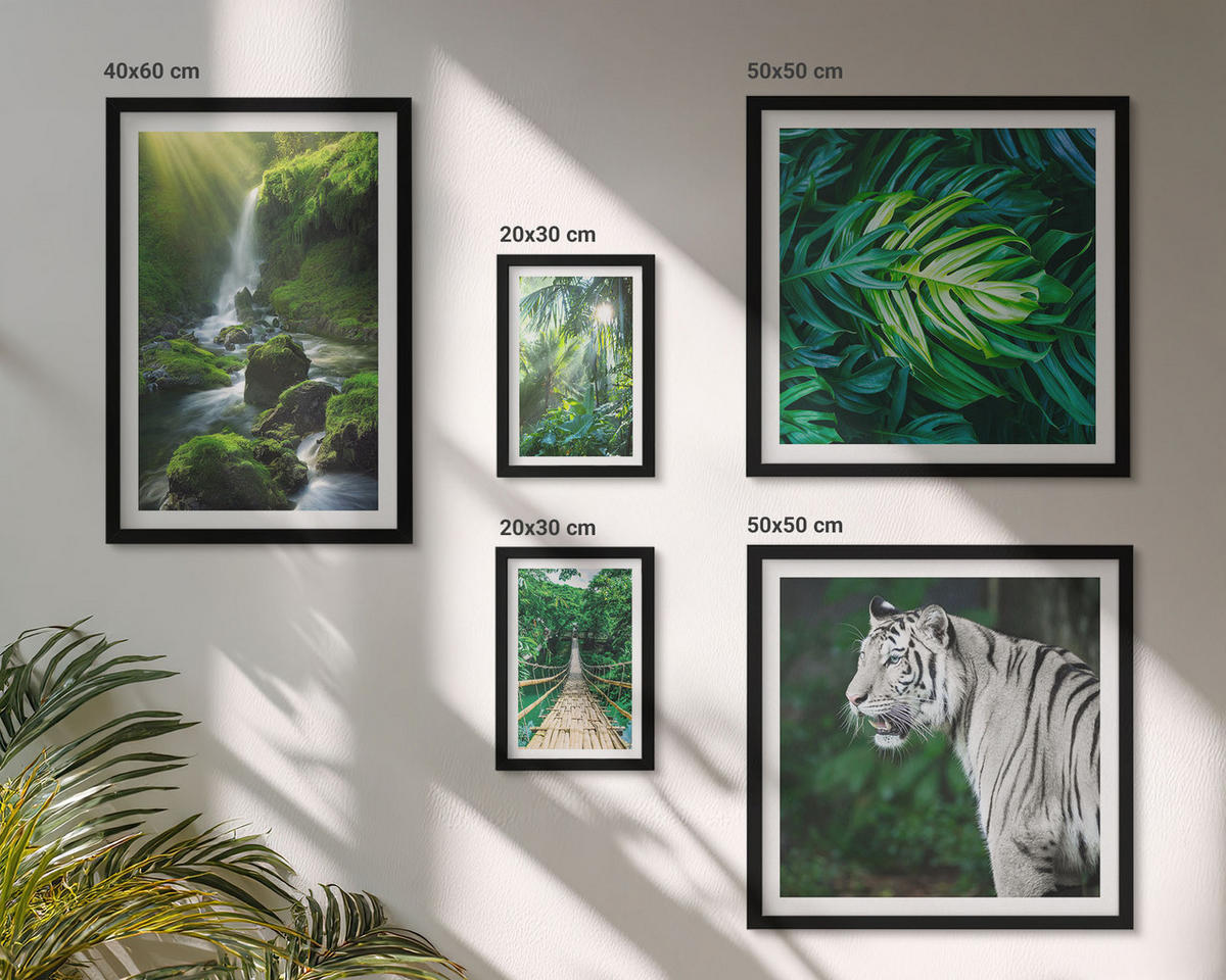 BILDER SET 5er Set - 50x50 cm & 20x30 cm & 40x60 cm Schwarzer Rahmen - Dschungel-Weißtiger-Wasserfall - Schwarz, Kunststoff (40/60cm) - TULUP