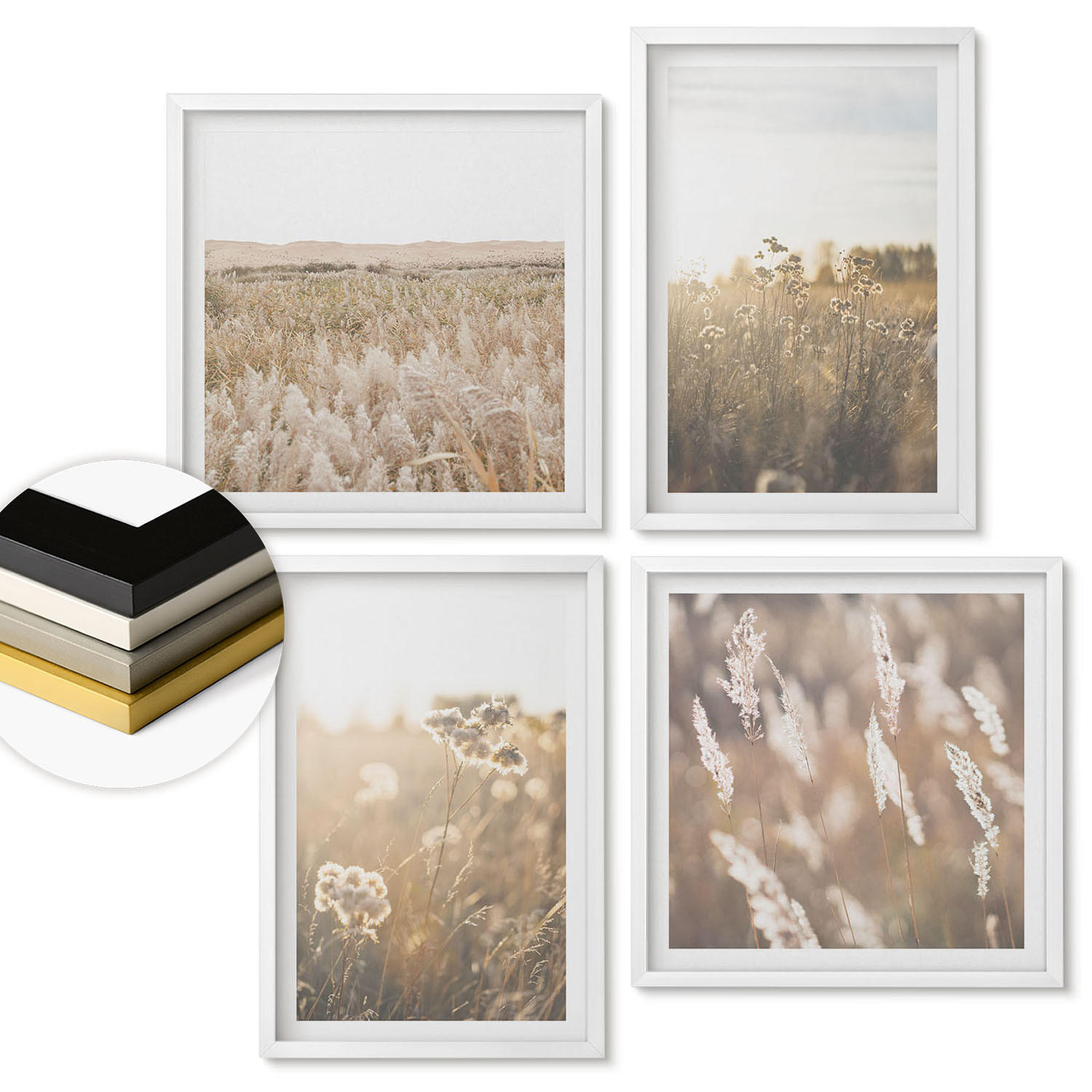ArtPrintCave Wandbilder Weiß 50x50 cm