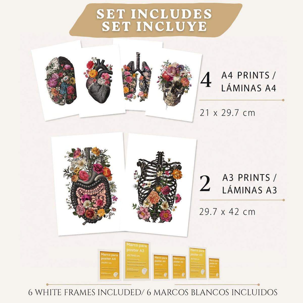 POSTER Set aus 6 Botanische Anatomie Drucke mit Herz Lungen Wirbelsäule Becken und Rippen Beige Terrakotta Erdtöne Florales Weißer Rahmen A3 & A4 - Weiß, Papier (21/29.7/3cm) - Nacnic