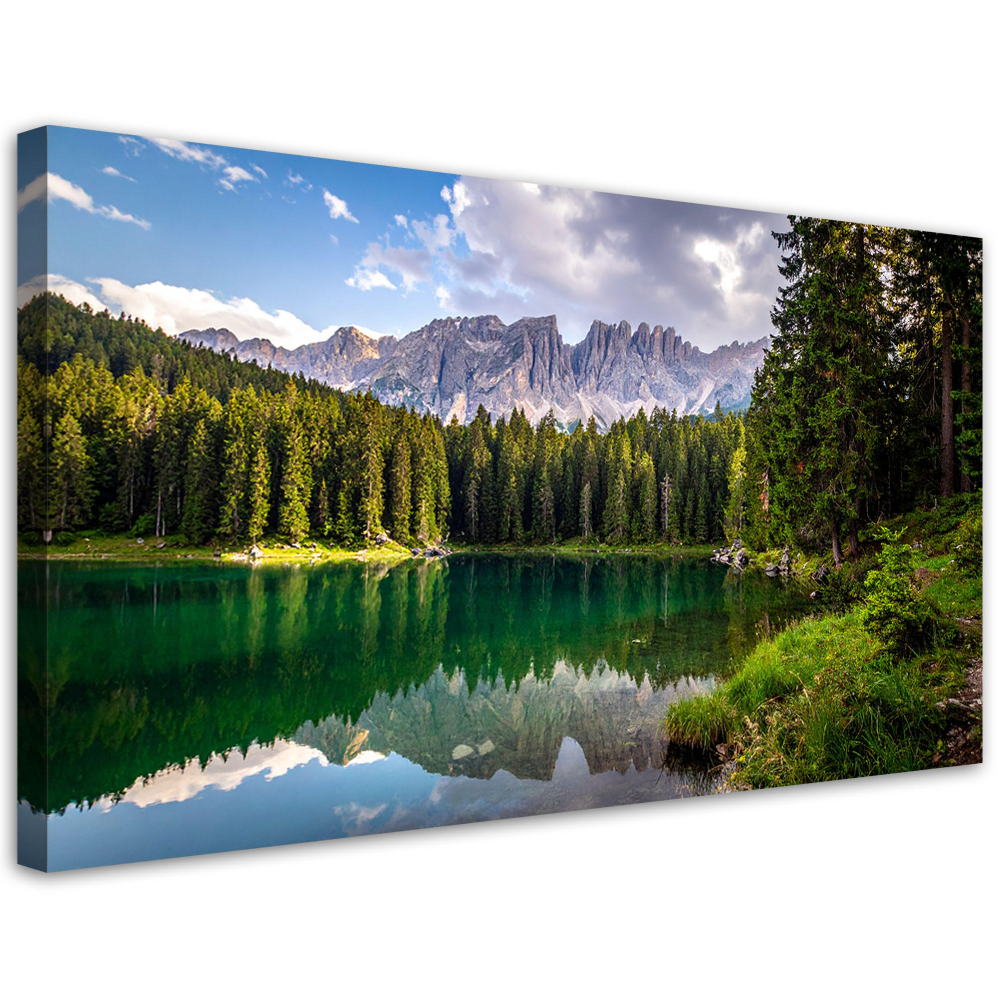 LEINWANDBILD Landschaften 80x40cm - Grün, Textil (80/40cm) - Feeby