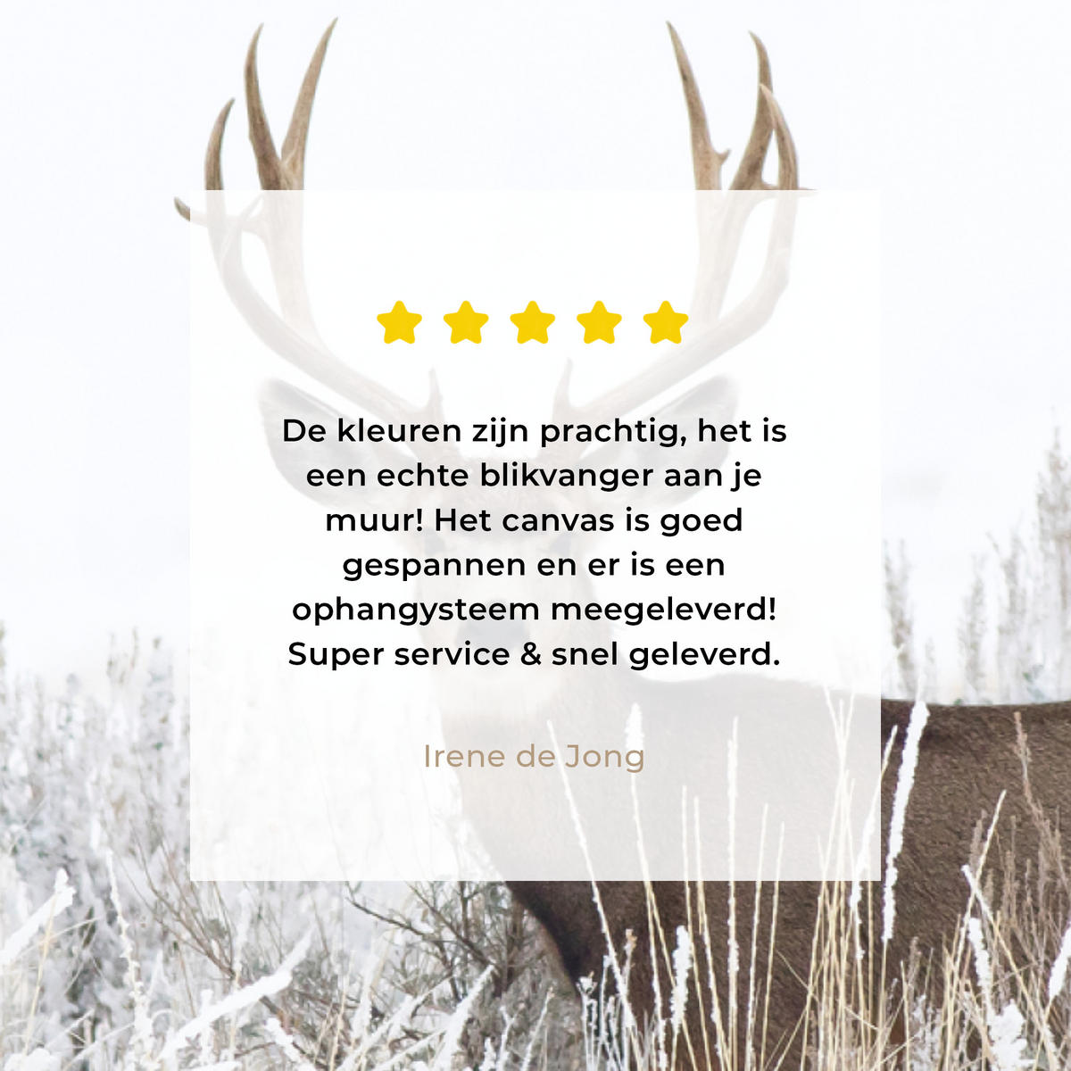 LEINWANDBILD Hirsche - Winter - Schnee - Tiere - Jahreszeiten - Weiß Wandbild 40x30 cm - Hellbraun, Textil (40/30cm) - MuchoWow