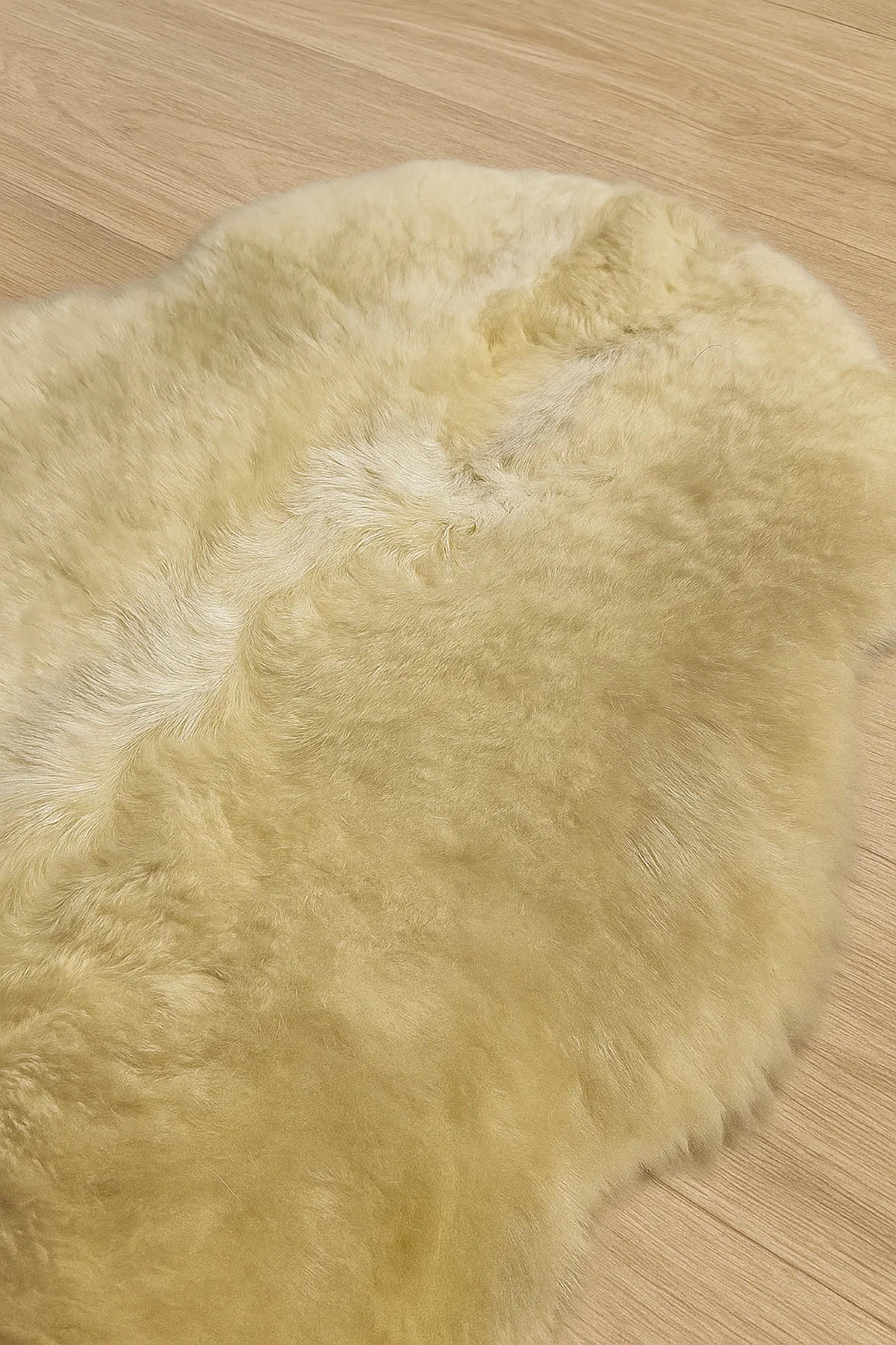 SCHAFFELL Kurzhaar Creme Natur ca. 70 cm - Beige/Creme, Fell (40/70cm) - Provellus