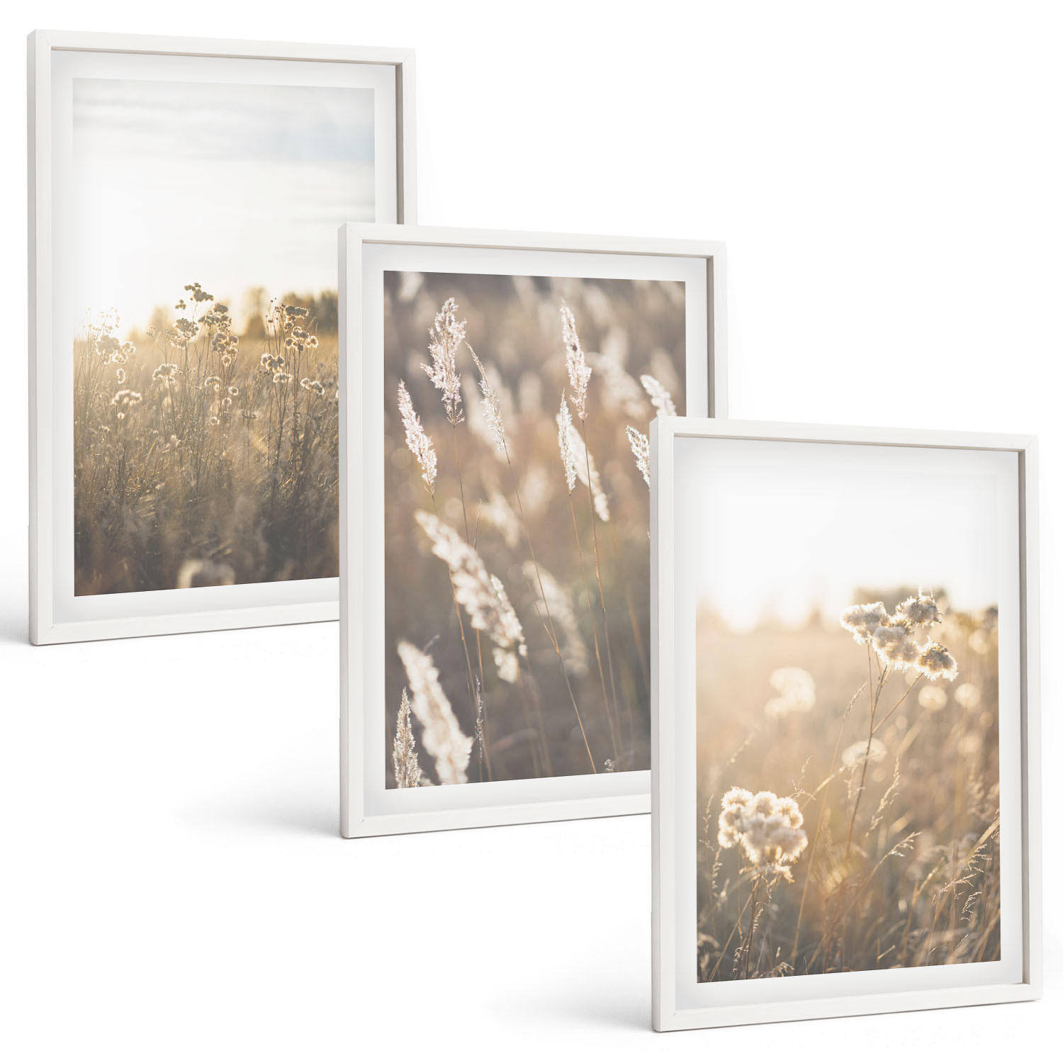BILDER SET 3er Set - 40x60 cm Weißer Rahmen - Landschaftsgrasblumen Wärme - Weiß, Kunststoff (40/60cm) - TULUP