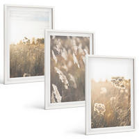 BILDER SET 3er Set - 40x60 cm Weißer Rahmen - Landschaftsgrasblumen Wärme - Weiß, Kunststoff (40/60cm) - TULUP