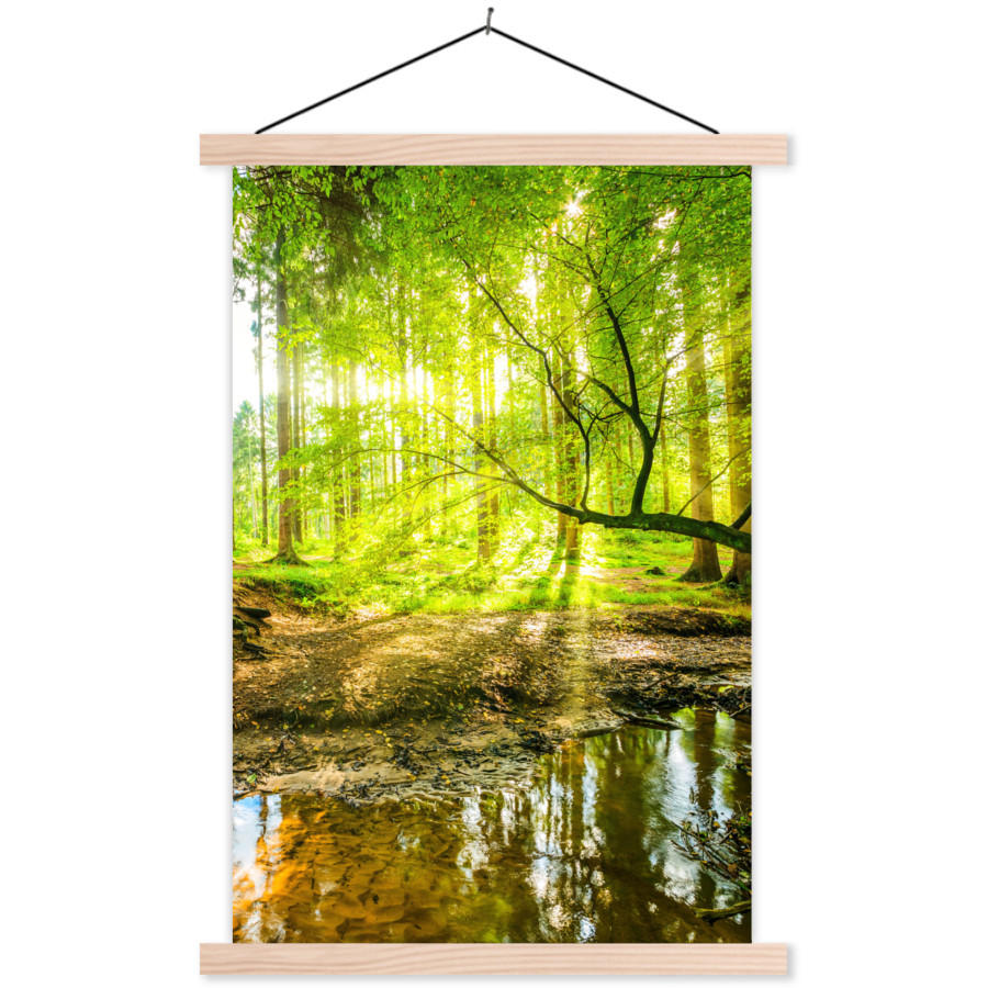 POSTER Wald - Landschaft - Wasser - Bäume - Sonne - Grün - Natur 60x90 cm - Grün, Textil (60/90/0.15cm) - MuchoWow