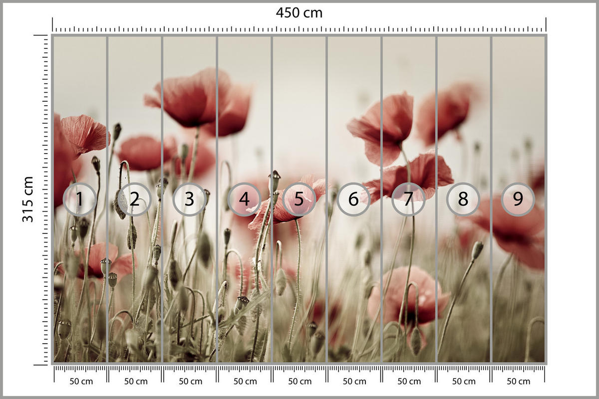 FOTOTAPETE für Wohnzimmer Zarte Mohn Blumen Wiese Rot 450x315 - Beige/Rot, Papier (450/315cm) - Muralo