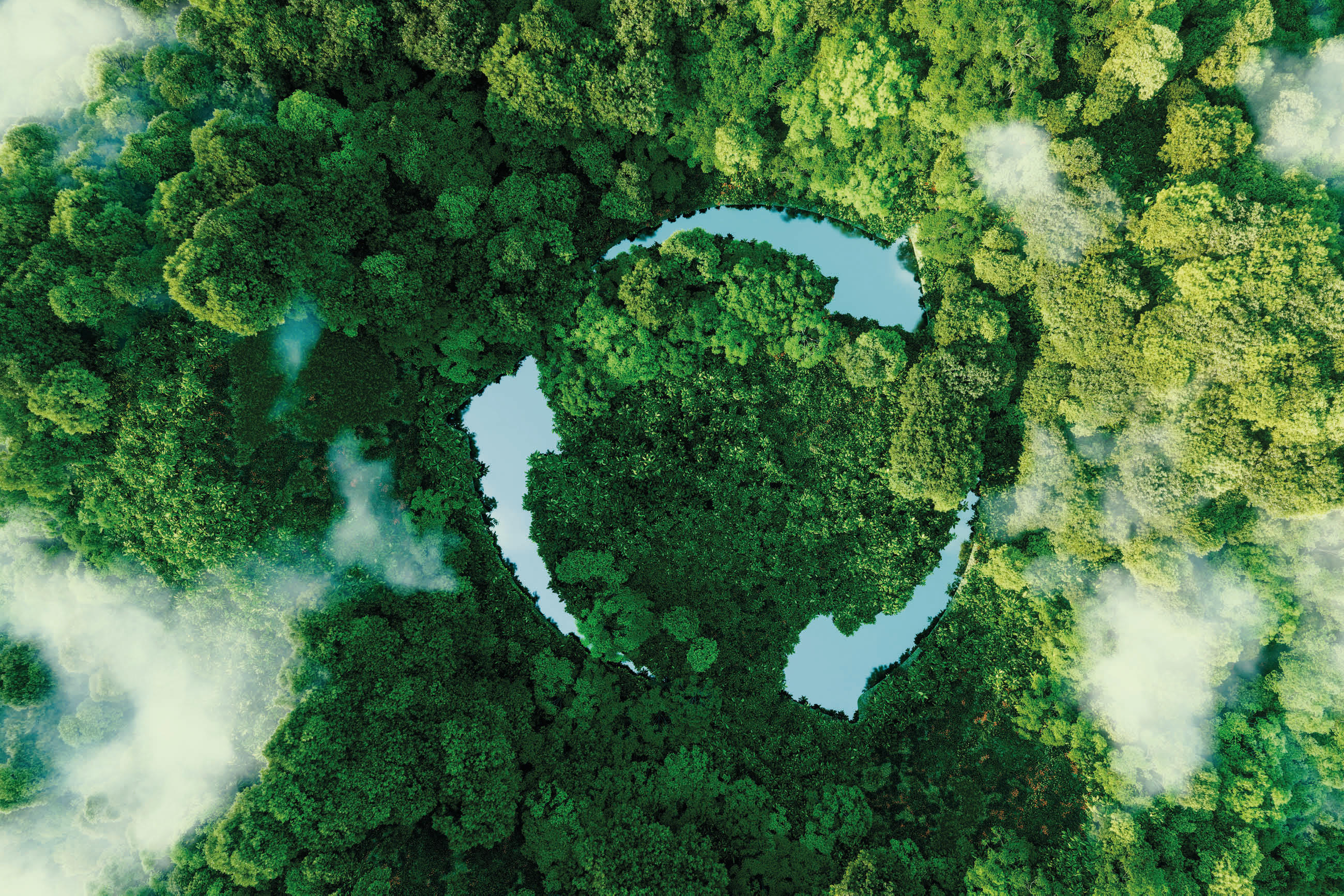 JANGAL Nachhaltigkeit - Wald von oben mit Recycling-Symbol