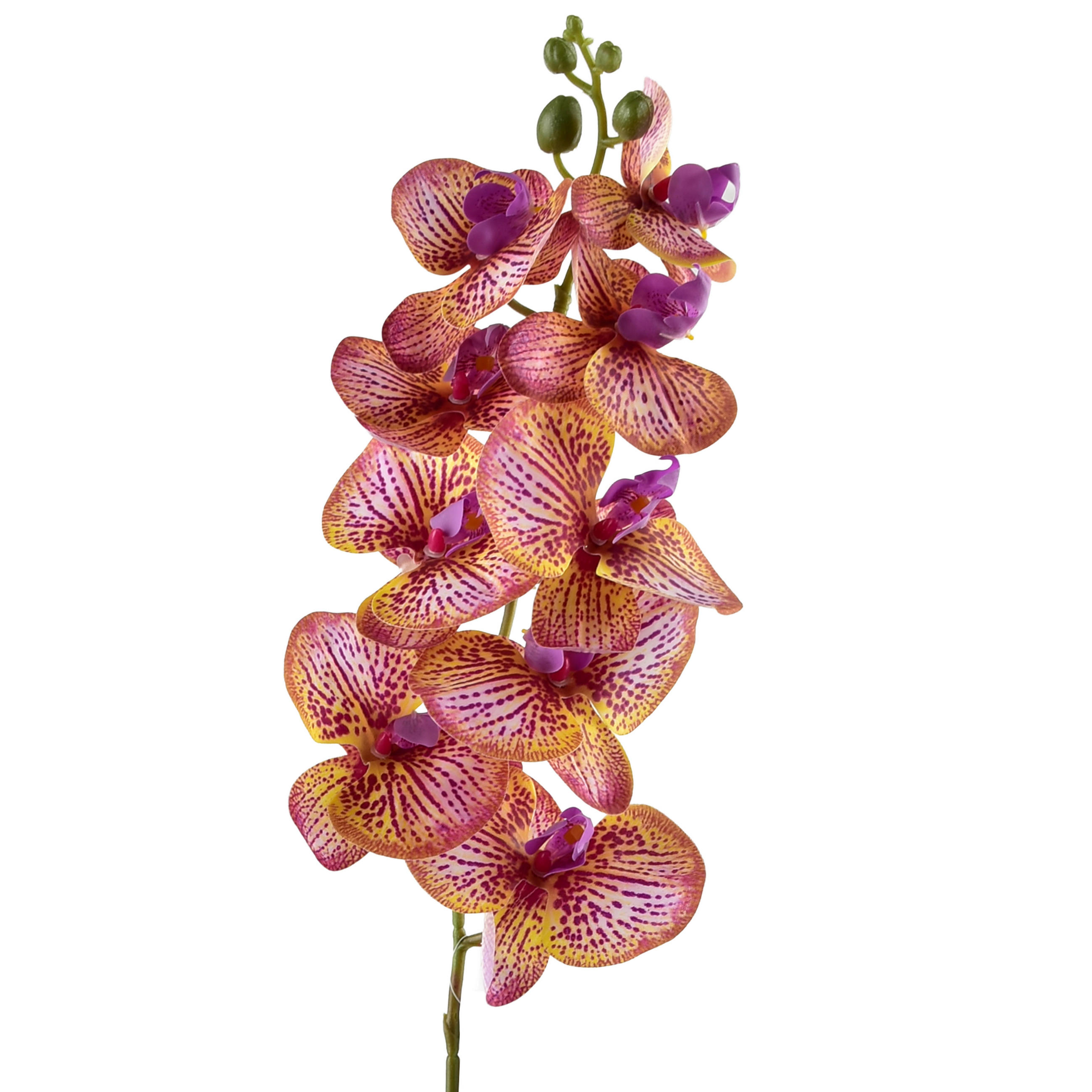 KUNSTORCHIDEENZWEIG Viridis 90cm - Weiß, Kunststoff (90cm) - Mondex