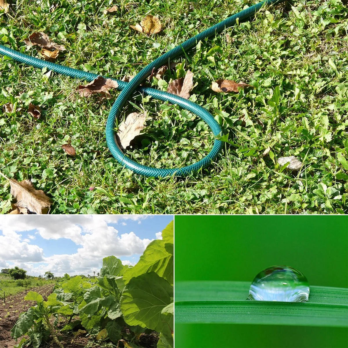 GARTENSCHLAUCH ECONOMIC 1/2" 10 m - Transparent, Kunststoff (1000cm)