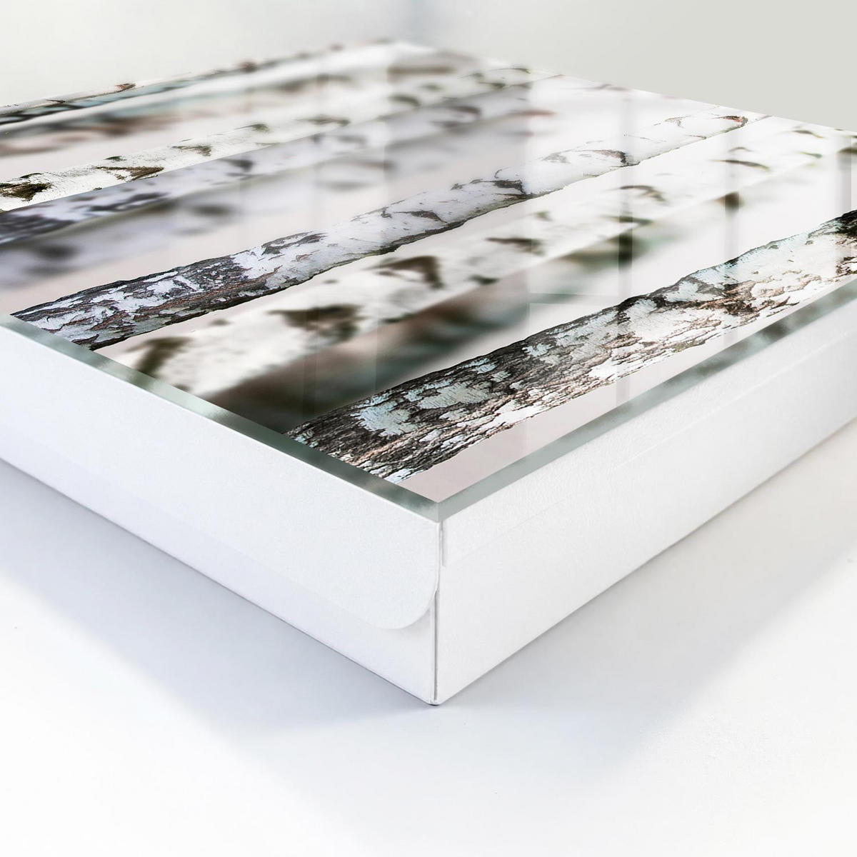 SCHLÜSSELBOX Weiß 30x30 cm – Türöffnung nach rechts - Birkenstämme - Weiß, Metall (30/30/5cm) - TULUP