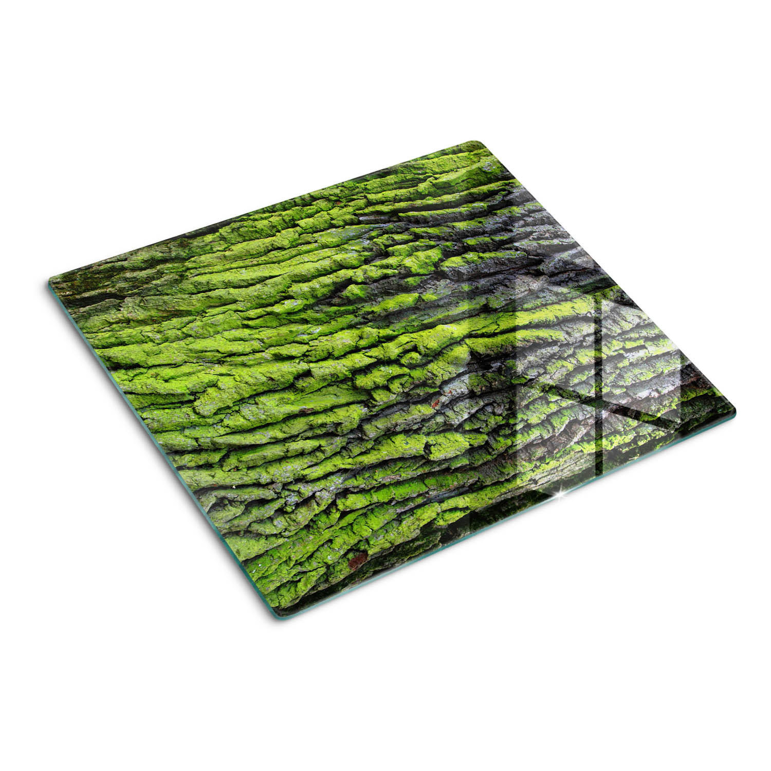 GLASPLATTE 60x52 cm Baumrinde - Grün, Glas (60/0.4/52cm) - TULUP