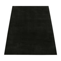 KURZFLORTEPPICH 60/100 cm Cadiz 630 - Schwarz, Textil (60/100cm) - Paco Home