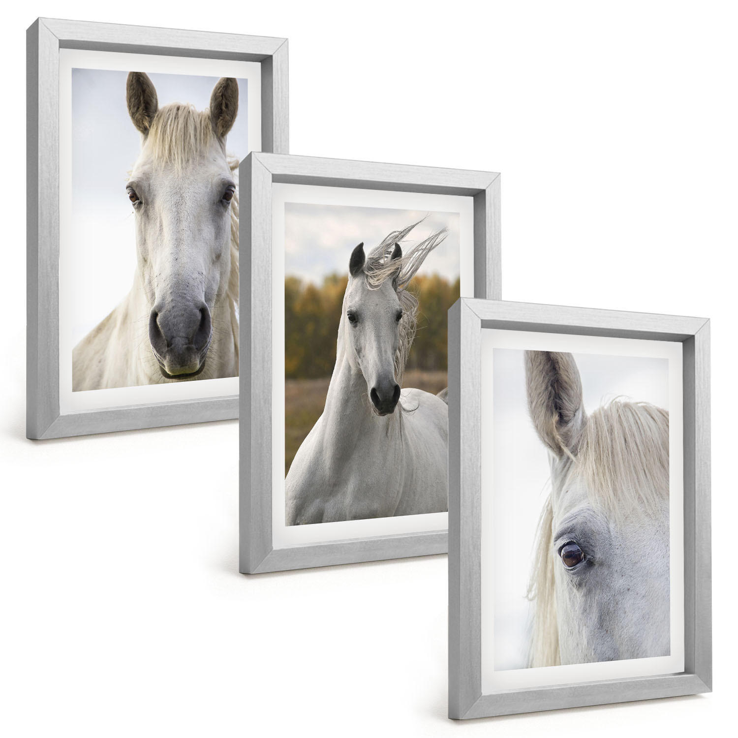 BILDER SET 3er Set - 20x30 cm Silberner Rahmen - Weiße Pferde in der Natur - Silberfarben, Kunststoff (20/30cm) - TULUP